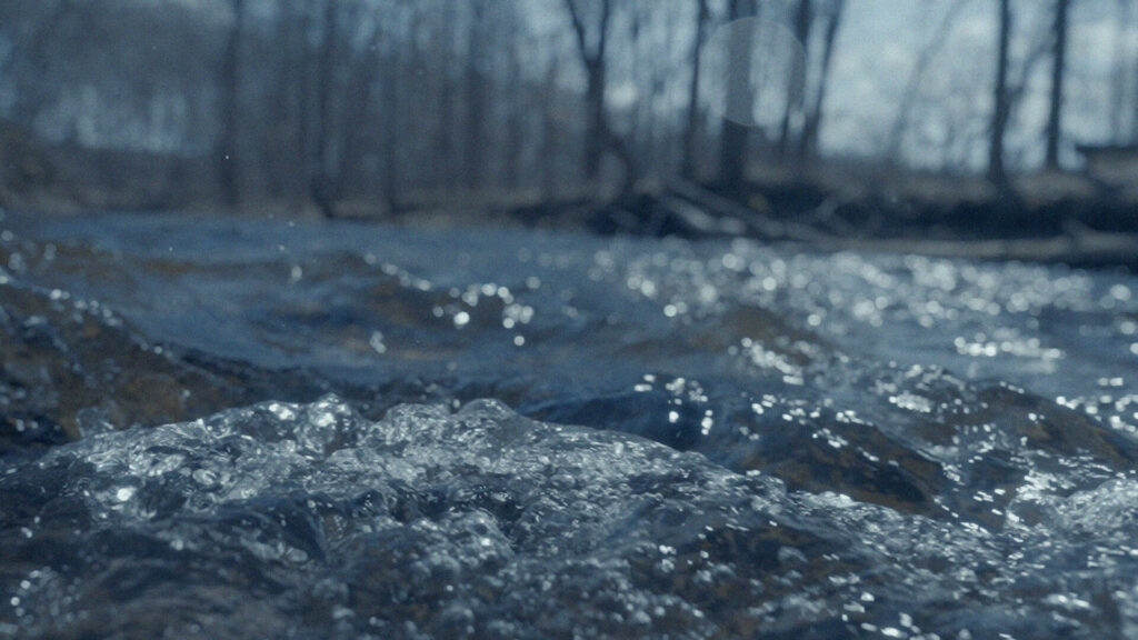 Waves with trees in the background
